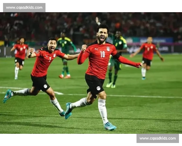 尼日利亚对阵法国赛事前瞻与胜负走向深度预测分析全面数据解读